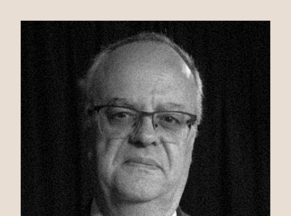 Democracia não está em crise, mas em transformação