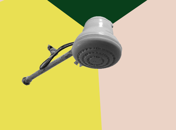 Banho diário é coisa nossa