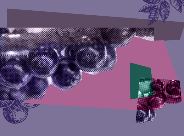 É verdade que só tem jabuticaba no Brasil?